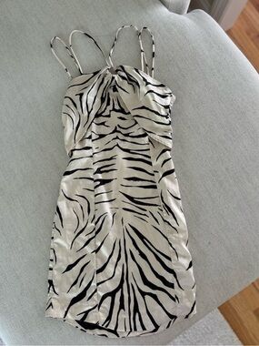 Zara Black and White Zebra Slip Dress